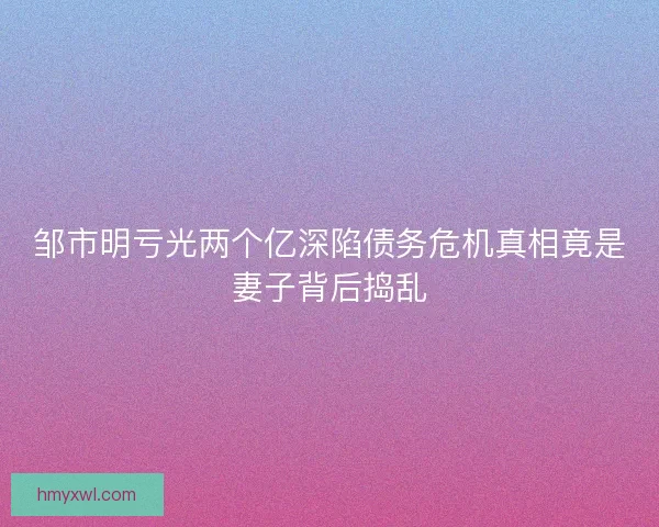 邹市明亏光两个亿深陷债务危机真相竟是妻子背后捣乱