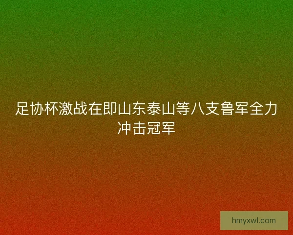 足协杯激战在即山东泰山等八支鲁军全力冲击冠军