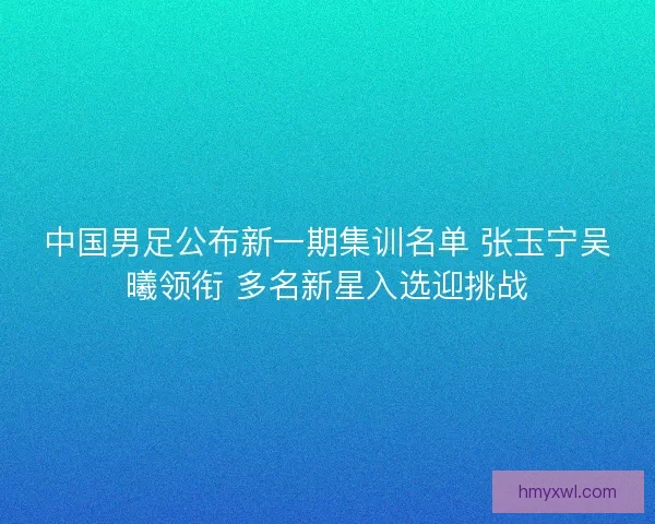 中国男足公布新一期集训名单 张玉宁吴曦领衔 多名新星入选迎挑战