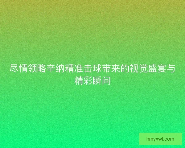 尽情领略辛纳精准击球带来的视觉盛宴与精彩瞬间