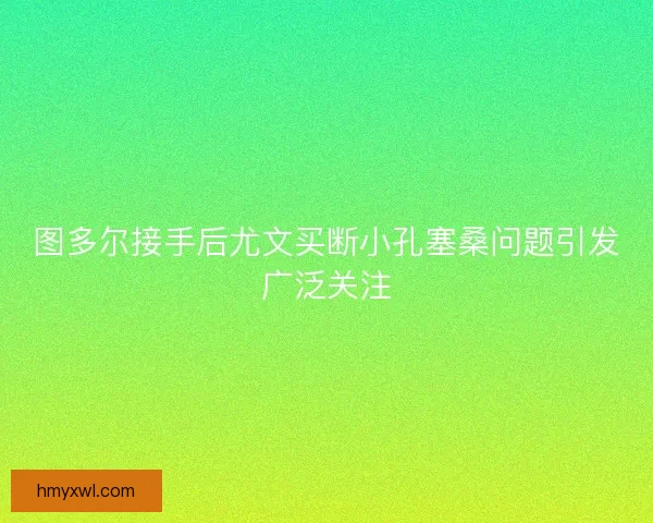 图多尔接手后尤文买断小孔塞桑问题引发广泛关注 图多尔接手后尤文买断小孔塞桑问题引发广泛关注