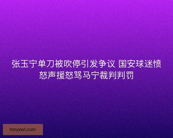 张玉宁单刀被吹停引发争议 国安球迷愤怒声援怒骂马宁裁判判罚